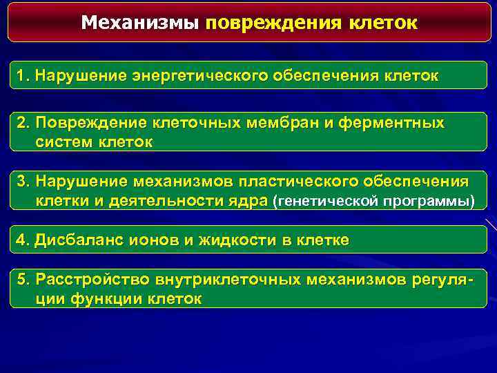 Механизмы повреждения клеток 1. Нарушение энергетического обеспечения клеток 2. Повреждение клеточных мембран и ферментных