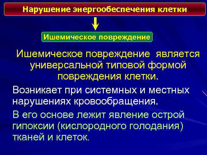 Нарушение энергообеспечения клетки Ишемическое повреждение является универсальной типовой формой повреждения клетки. Возникает при системных