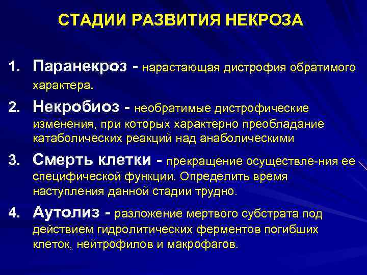 СТАДИИ РАЗВИТИЯ НЕКРОЗА 1. Паранекроз - нарастающая дистрофия обратимого характера. 2. Некробиоз - необратимые