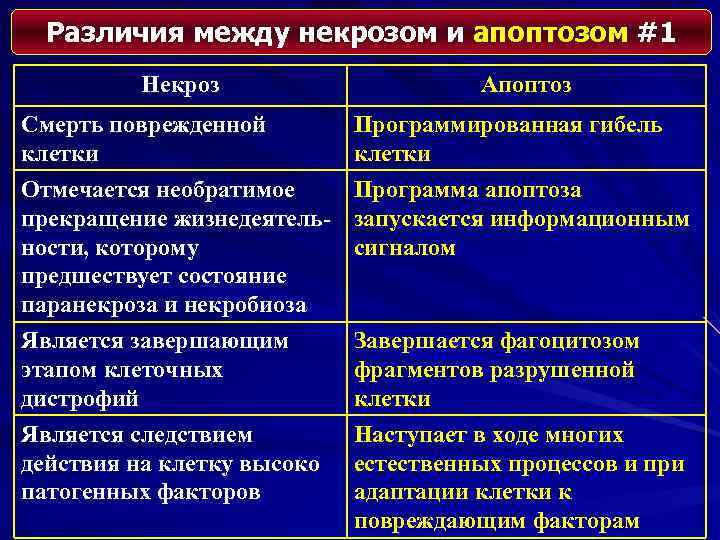 Различия между некрозом и апоптозом #1 Некроз Апоптоз Смерть поврежденной клетки Отмечается необратимое прекращение