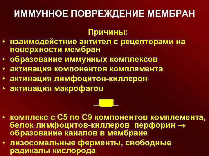 ИММУННОЕ ПОВРЕЖДЕНИЕ МЕМБРАН • • • Причины: взаимодействие антител с рецепторами на поверхности мембран