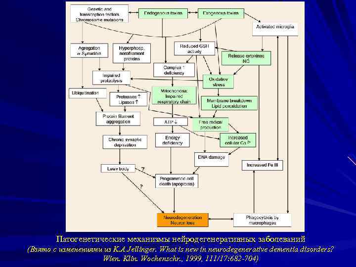 Патогенетические механизмы нейродегенеративных заболеваний (Взято с изменениями из K. A Jellinger. What is new
