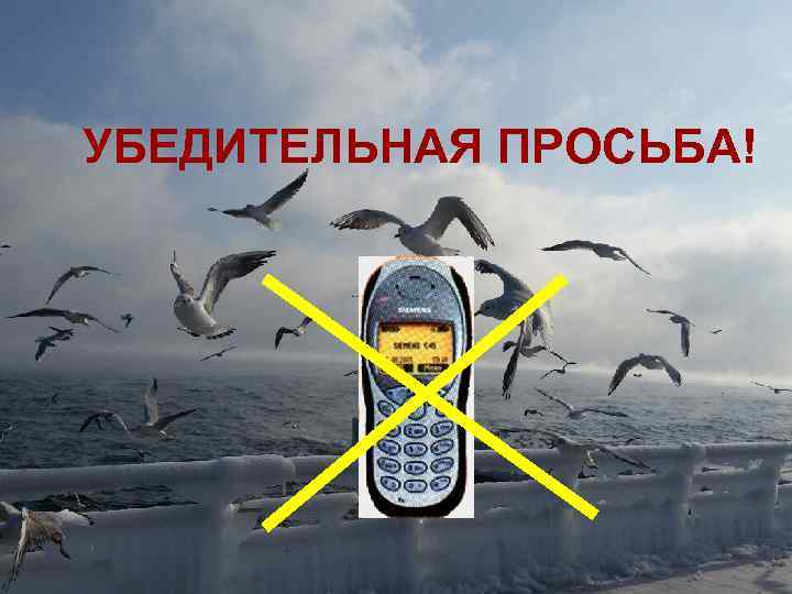 УБЕДИТЕЛЬНАЯ ПРОСЬБА! 