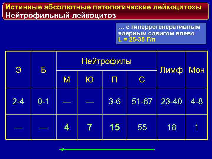 Истинные абсолютные патологические лейкоцитозы Нейтрофильный лейкоцитоз … с гиперрегенеративным ядерным сдвигом влево L =