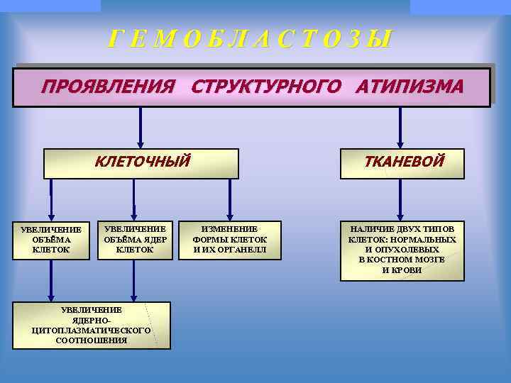 Рассмотрите рисунок и уясните понятие клеточного атипизма