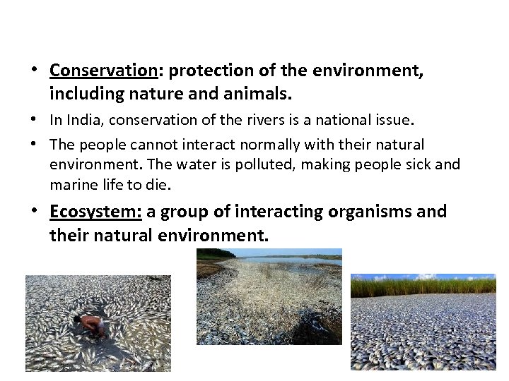  • Conservation: protection of the environment, including nature and animals. • In India,