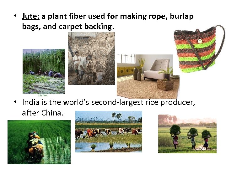  • Jute: a plant fiber used for making rope, burlap bags, and carpet