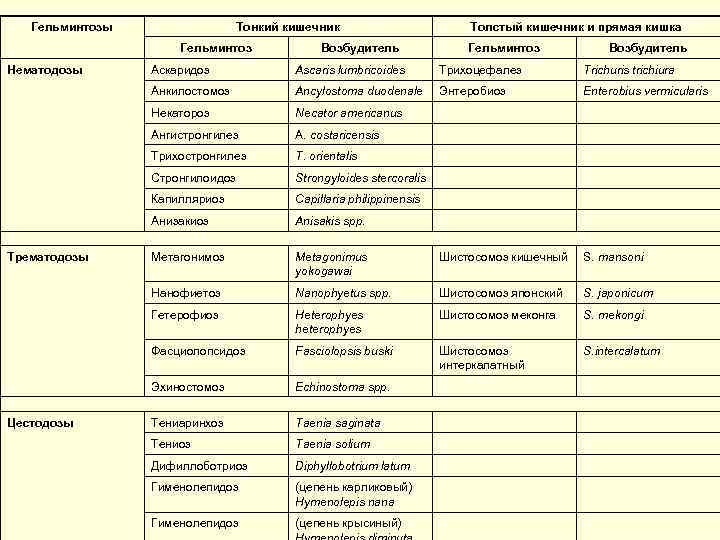 Гельминтозы Тонкий кишечник Гельминтоз Нематодозы Толстый кишечник и прямая кишка Возбудитель Гельминтоз Возбудитель Трихоцефалез