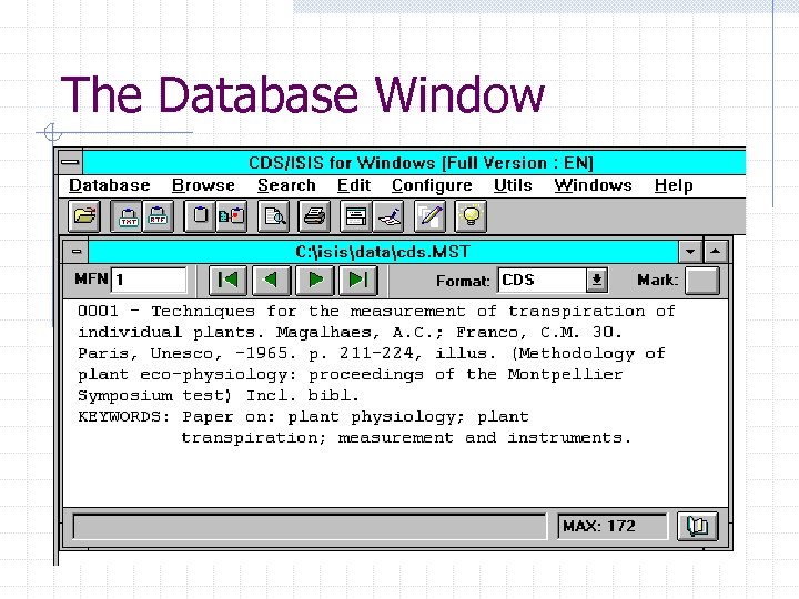 The Database Window 