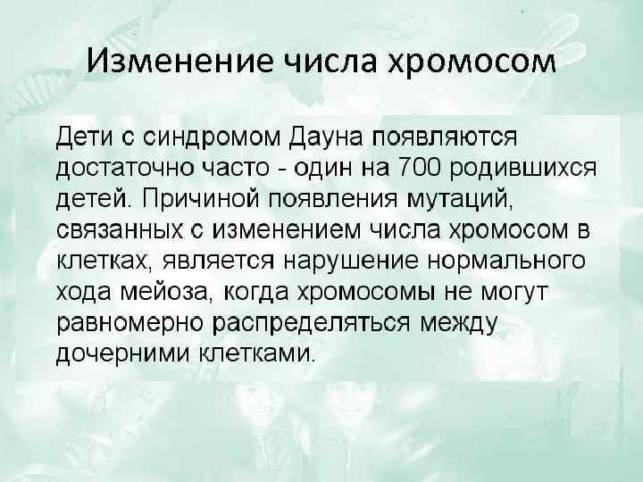 Изменение числа хромосом 