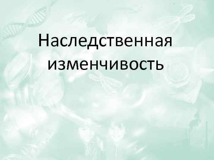 Наследственная изменчивость 