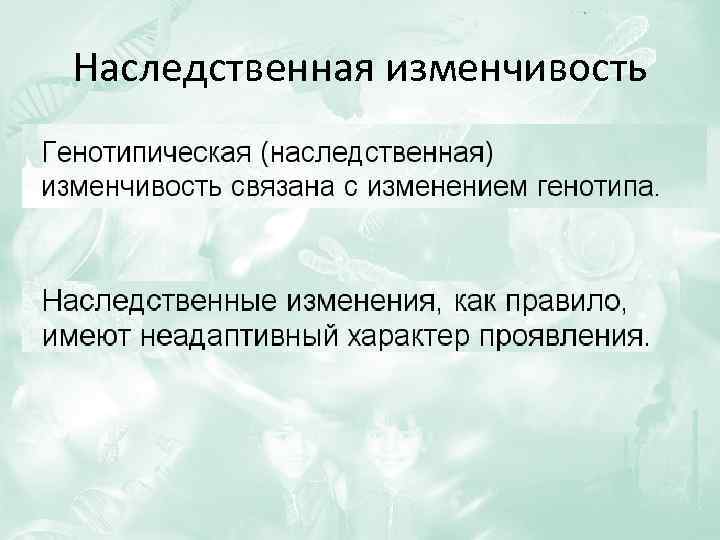 Наследственная изменчивость 