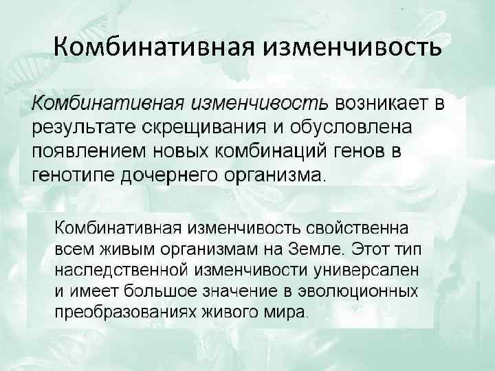 Комбинативная изменчивость обусловлена