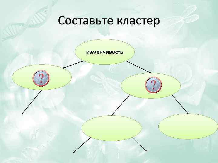 Составьте кластер изменчивость 