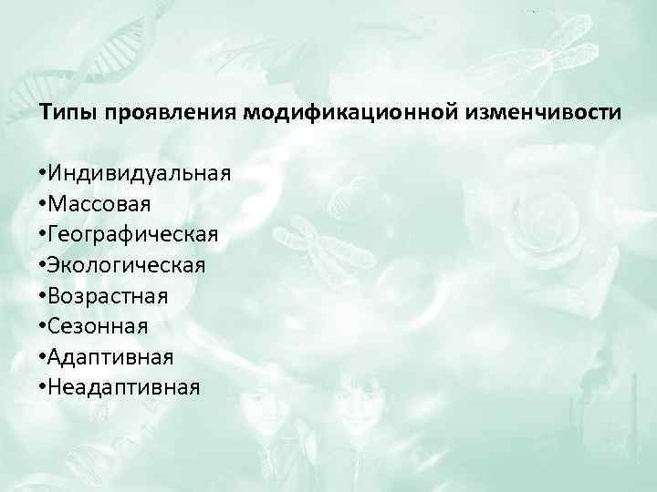 Типы проявления модификационной изменчивости • Индивидуальная • Массовая • Географическая • Экологическая • Возрастная