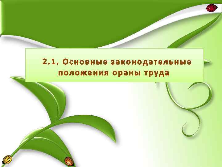 2. 1. Основные законодательные положения ораны труда 