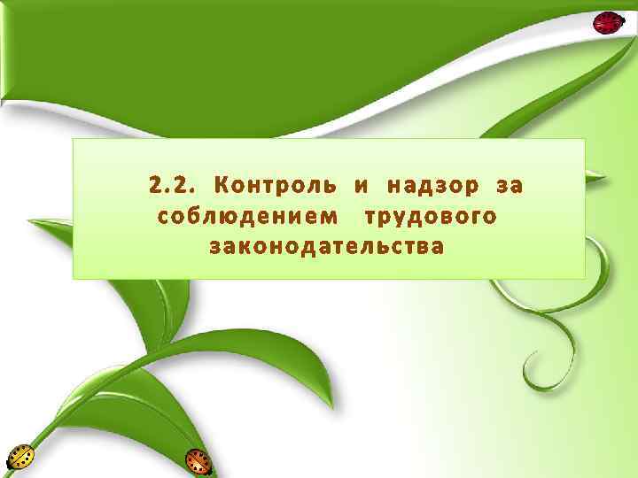 2. 2. Контроль и надзор за соблюдением трудового законодательства 