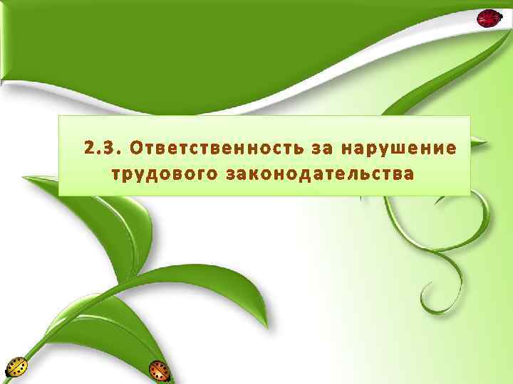2. 3. Ответственность за нарушение трудового законодательства 
