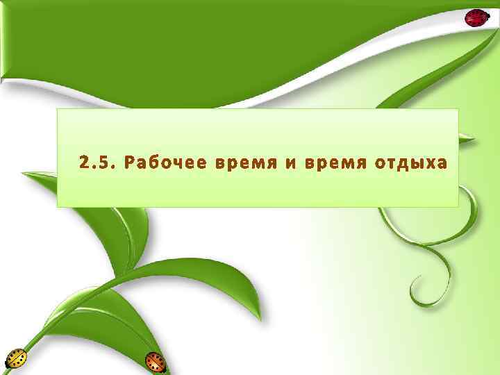 2. 5. Рабочее время и время отдыха 