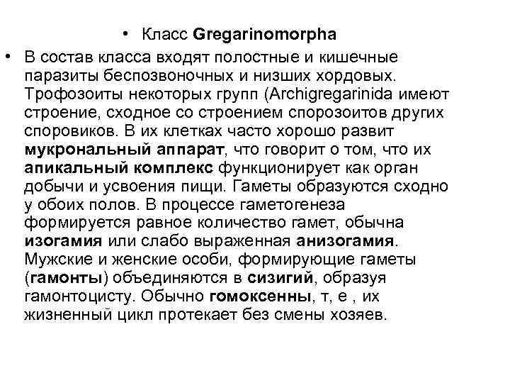  • Класс Gregarinomorphа • В состав класса входят полостные и кишечные паразиты беспозвоночных