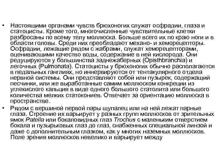  • Настоящими органами чувств брюхоногих служат осфрадии, глаза и статоцисты. Кроме того, многочисленные