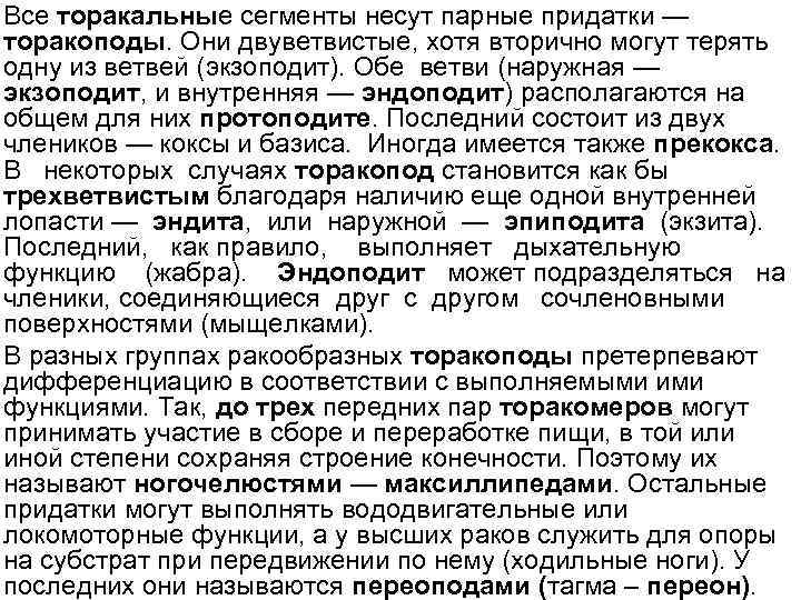 Все торакальные сегменты несут парные придатки — торакоподы. Они двуветвистые, хотя вторично могут терять