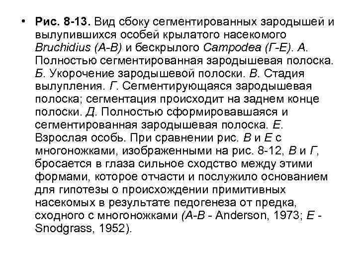  • Рис. 8 -13. Вид сбоку сегментированных зародышей и вылупившихся особей крылатого насекомого