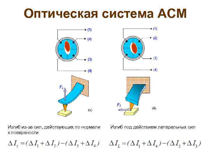 Оптическая система АСМ Изгиб из-за сил, действующих по нормали к поверхности Изгиб под действием