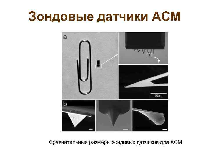 Зондовые датчики АСМ Сравнительные размеры зондовых датчиков для АСМ 