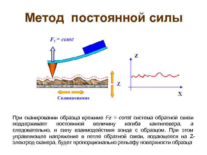 Метод постоянной силы При сканировании образца врежиме Fz = const система обратной связи поддерживает