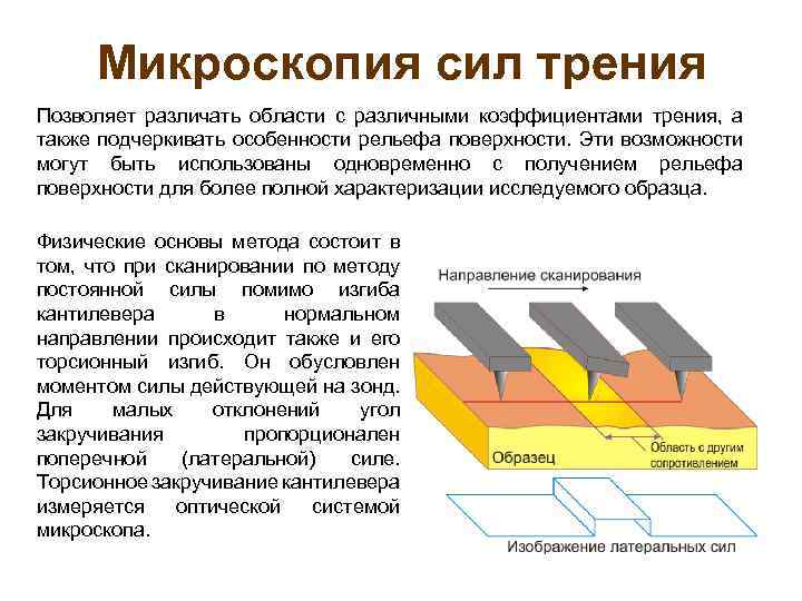 Микроскопия сил трения Позволяет различать области с различными коэффициентами трения, а также подчеркивать особенности