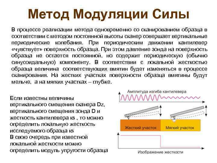 Метод Модуляции Силы В процессе реализации метода одновременно со сканированием образца в соответствии с