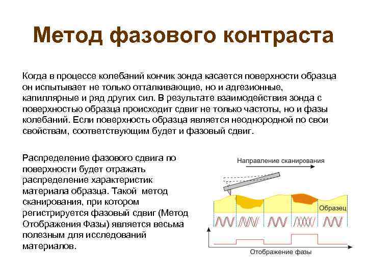 Метод фазового контраста Когда в процессе колебаний кончик зонда касается поверхности образца он испытывает