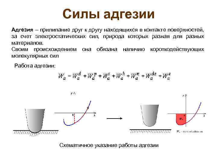 Силы адгезии Адгезия – прилипание друг к другу находящихся в контакте поверхностей, за счет