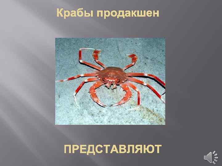 Крабы продакшен ПРЕДСТАВЛЯЮТ 