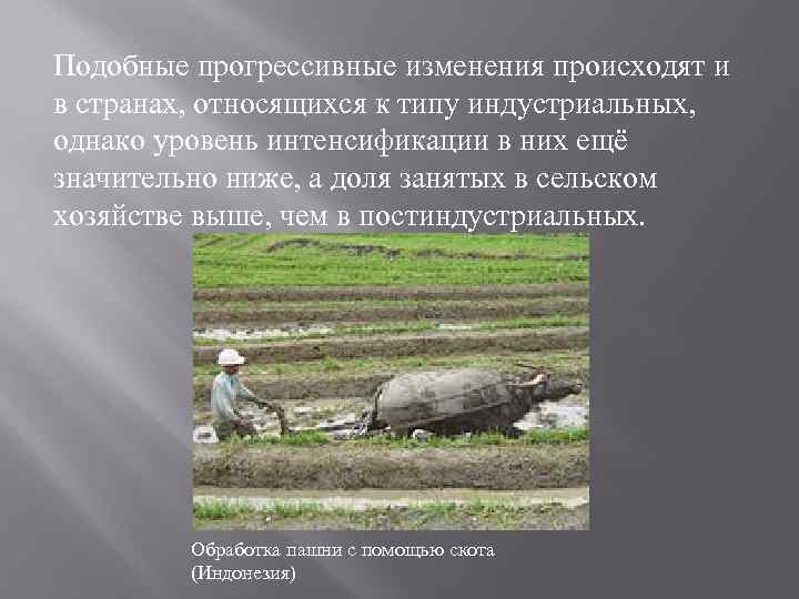 Подобные прогрессивные изменения происходят и в странах, относящихся к типу индустриальных, однако уровень интенсификации