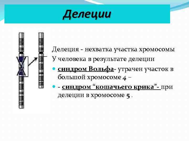 Отсутствие хромосомы. Делеции короткого плеча хромосомы 4. Синдром делеции хромосомы 4q21. Делеция участка хромосомы.