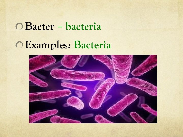 Bacter – bacteria Examples: Bacteria 