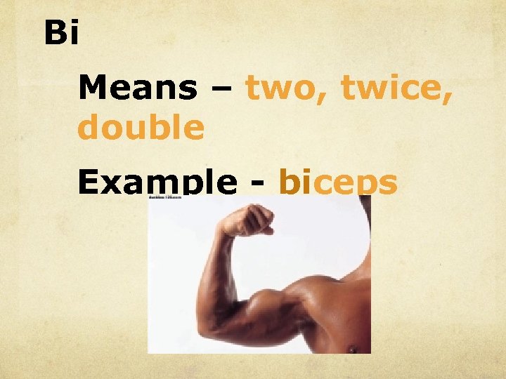 Bi Means – two, twice, double Example - biceps 