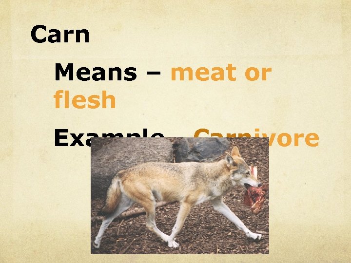 Carn Means – meat or flesh Example - Carnivore 