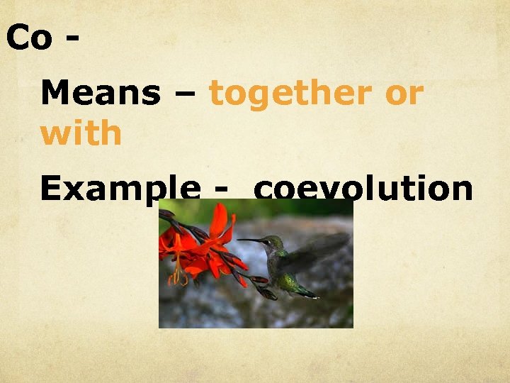 Co Means – together or with Example - coevolution 