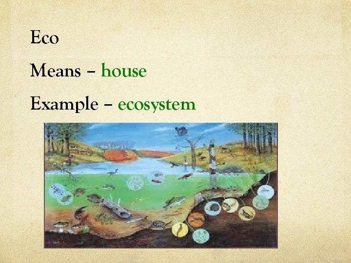 Eco Means – house Example – ecosystem 