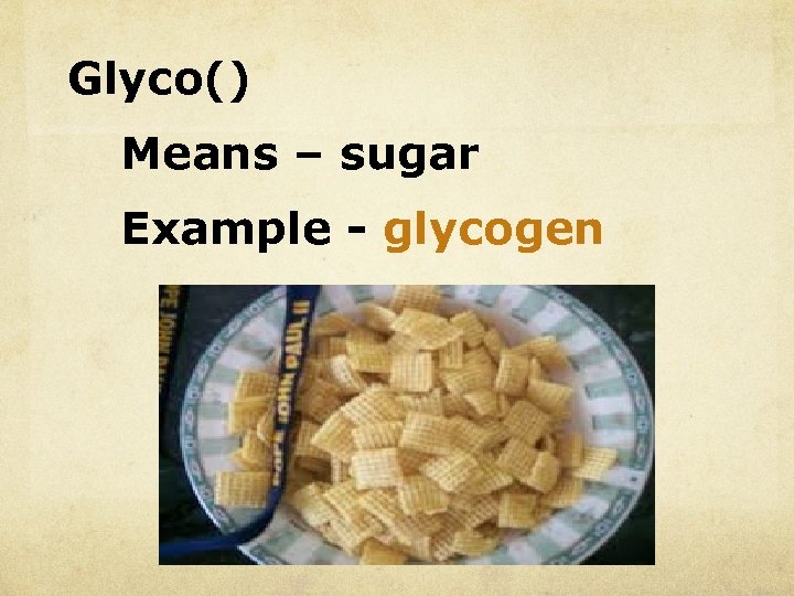 Glyco() Means – sugar Example - glycogen 