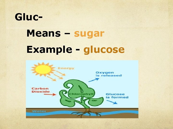 Gluc. Means – sugar Example - glucose 