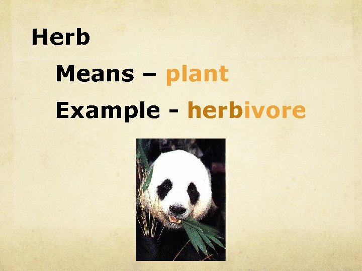 Herb Means – plant Example - herbivore 