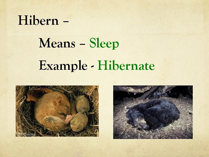 Hibern – Means – Sleep Example - Hibernate 