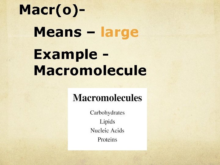 Macr(o)Means – large Example Macromolecule 