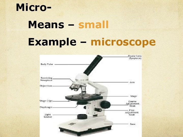 Micro. Means – small Example – microscope 