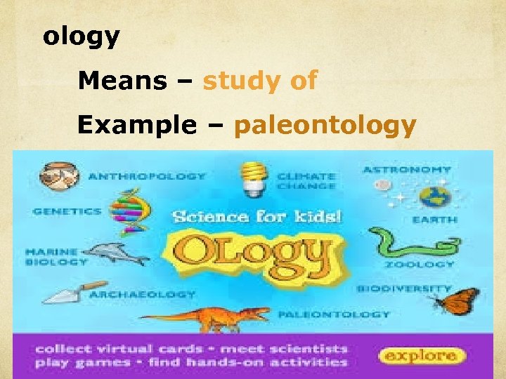 ology Means – study of Example – paleontology 