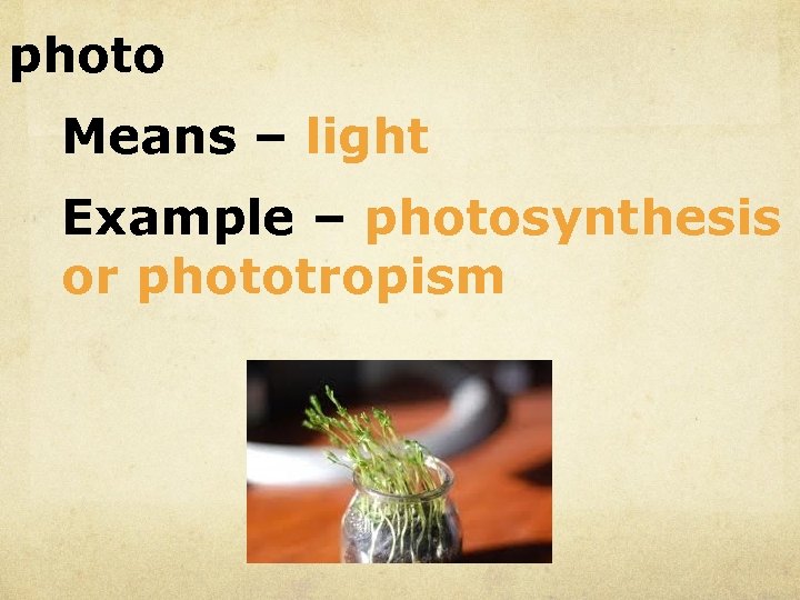 photo Means – light Example – photosynthesis or phototropism 